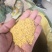 色选米，鸟粮，，可以做饲料