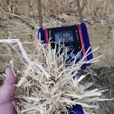 牛羊饲料柔丝稻草小包稻草大包稻草
