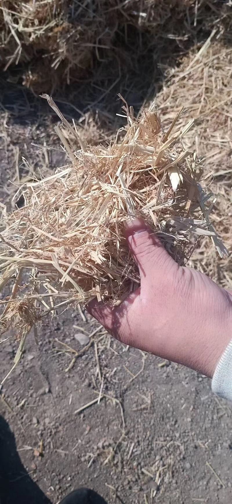 牛羊饲料柔丝稻草小包稻草大包稻草