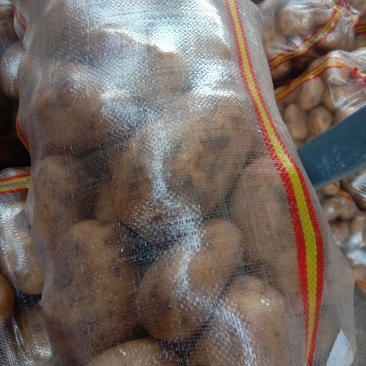 食堂专用土豆需要联系