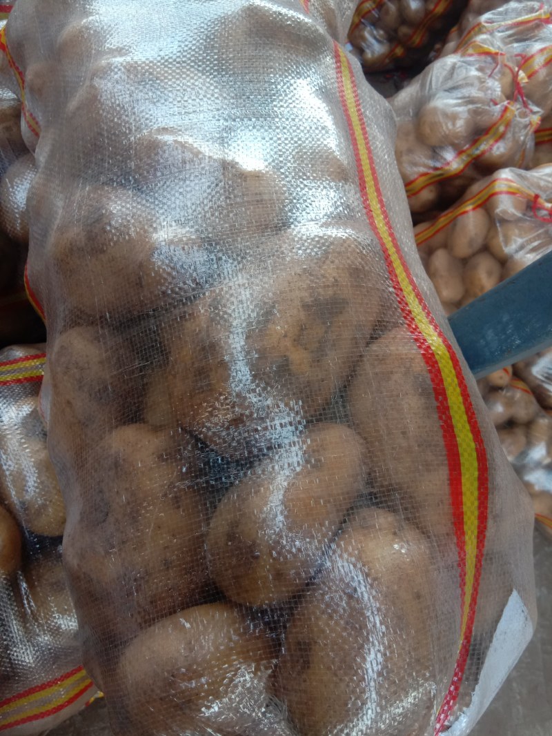 食堂专用土豆需要联系