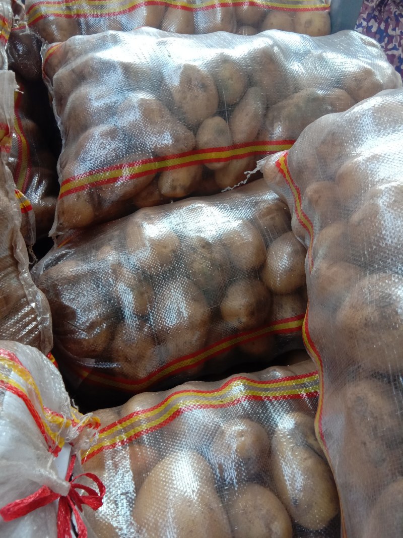 食堂专用土豆需要联系