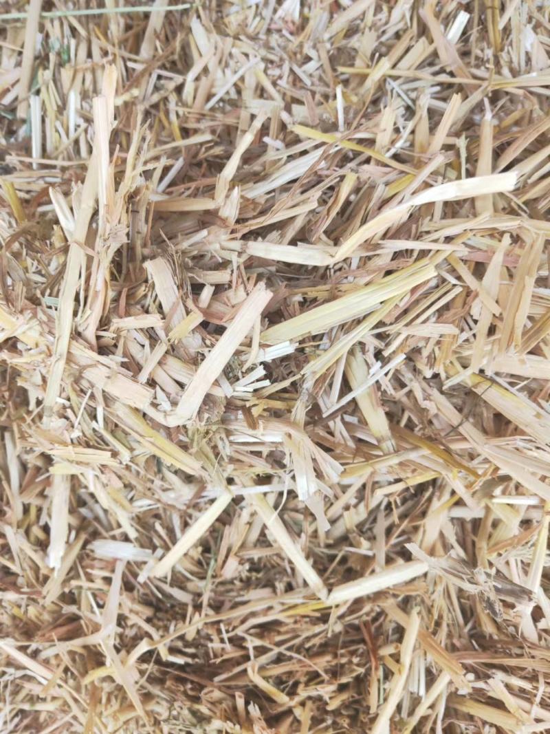 粉碎稻草柔丝稻草克拉斯稻草牛羊饲料