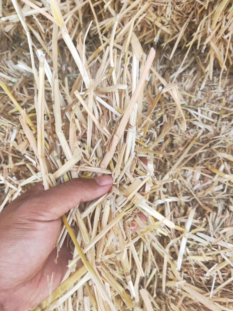 粉碎稻草柔丝稻草克拉斯稻草牛羊饲料