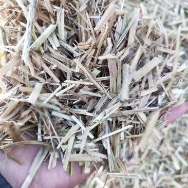 稻草粉碎牛羊饲料柔丝稻壳大包稻草小包稻草
