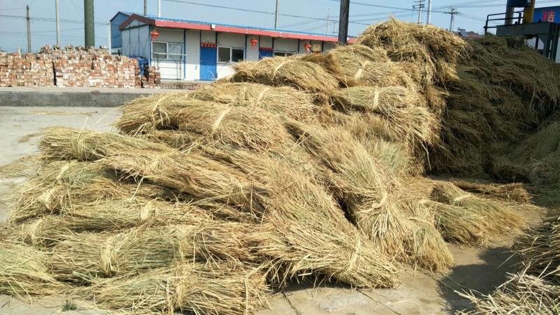 整根防沙治土稻草细柔打包稻壳牛羊饲料