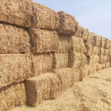 整根防沙治土稻草细柔打包稻壳牛羊饲料