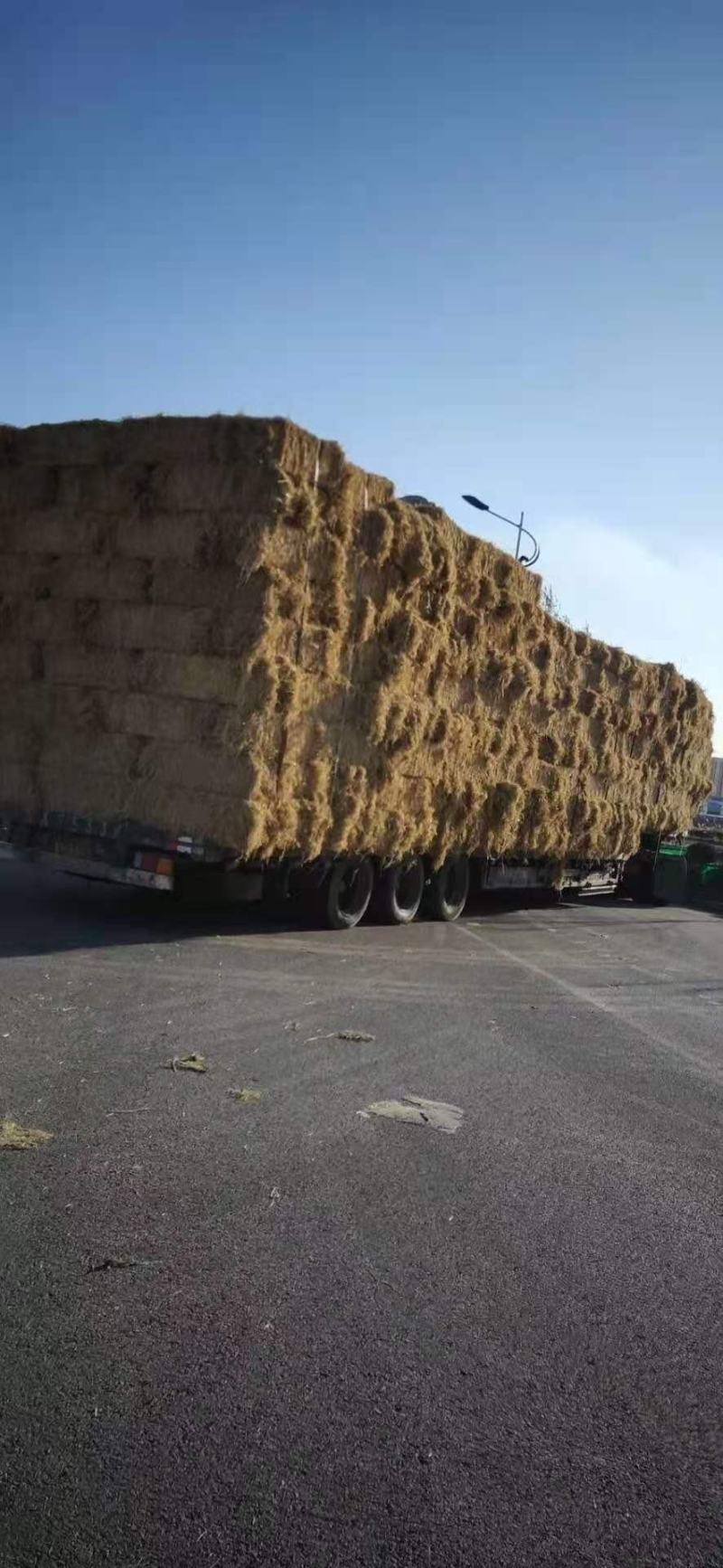 整根防沙治土稻草细柔打包稻壳牛羊饲料