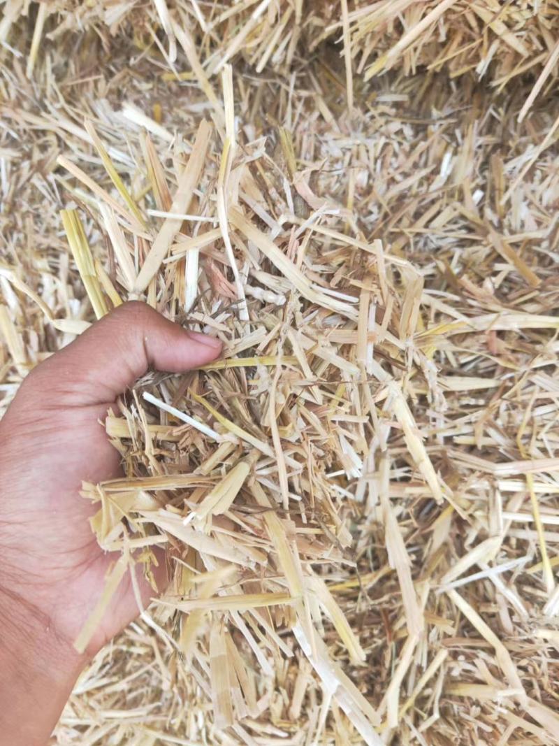 厂家供应柔丝稻草克拉斯粉碎稻草牛羊饲料防沙治土稻草