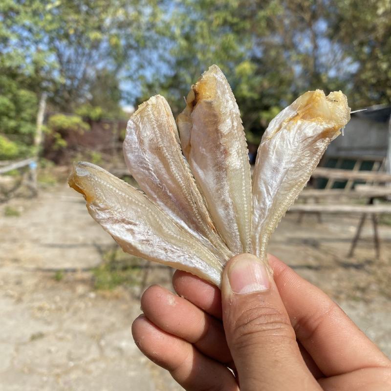 北海特产红娘鱼六角头咸鱼干鱼干