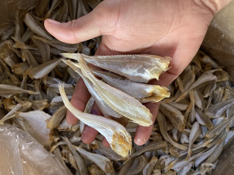 北海特产红娘鱼六角头咸鱼干鱼干