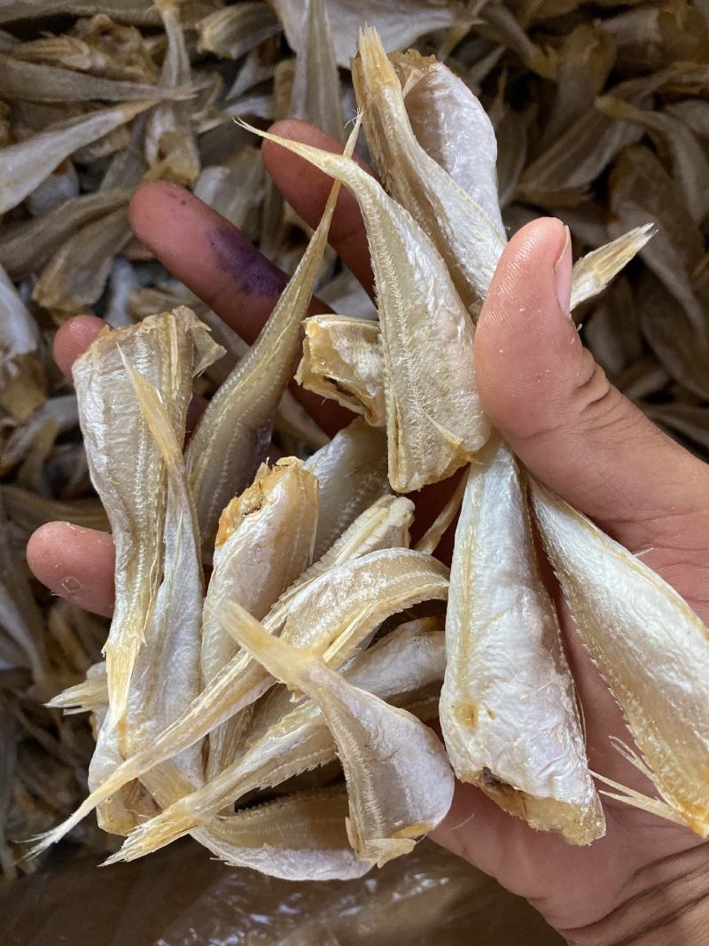 北海特产红娘鱼六角头咸鱼干鱼干