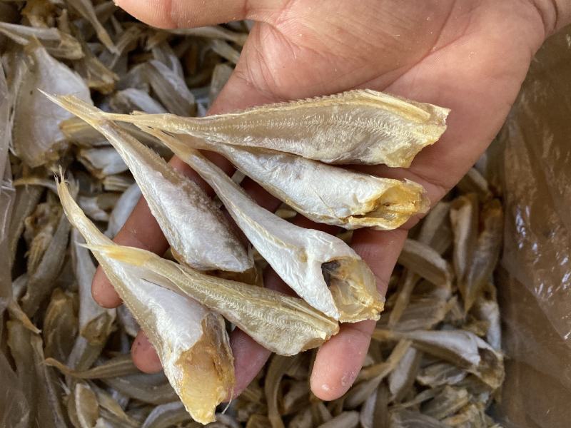 北海特产红娘鱼六角头咸鱼干鱼干