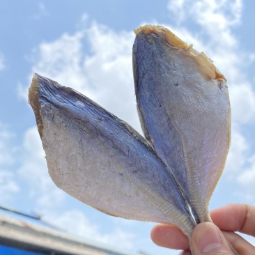 【热卖】黄尾鱼干咸鱼干水产干货小鱼干