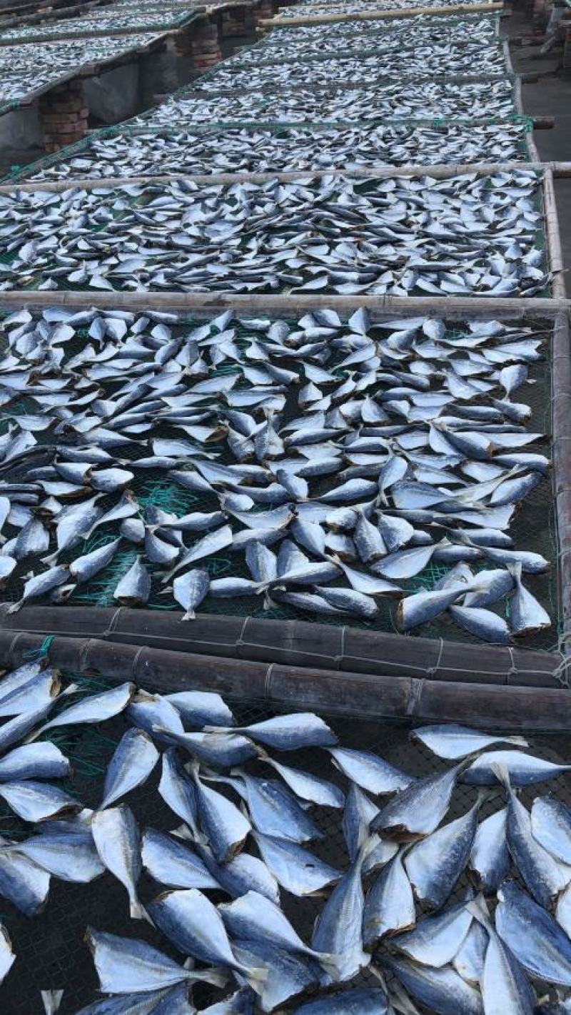 【热卖】黄尾鱼干咸鱼干水产干货小鱼干