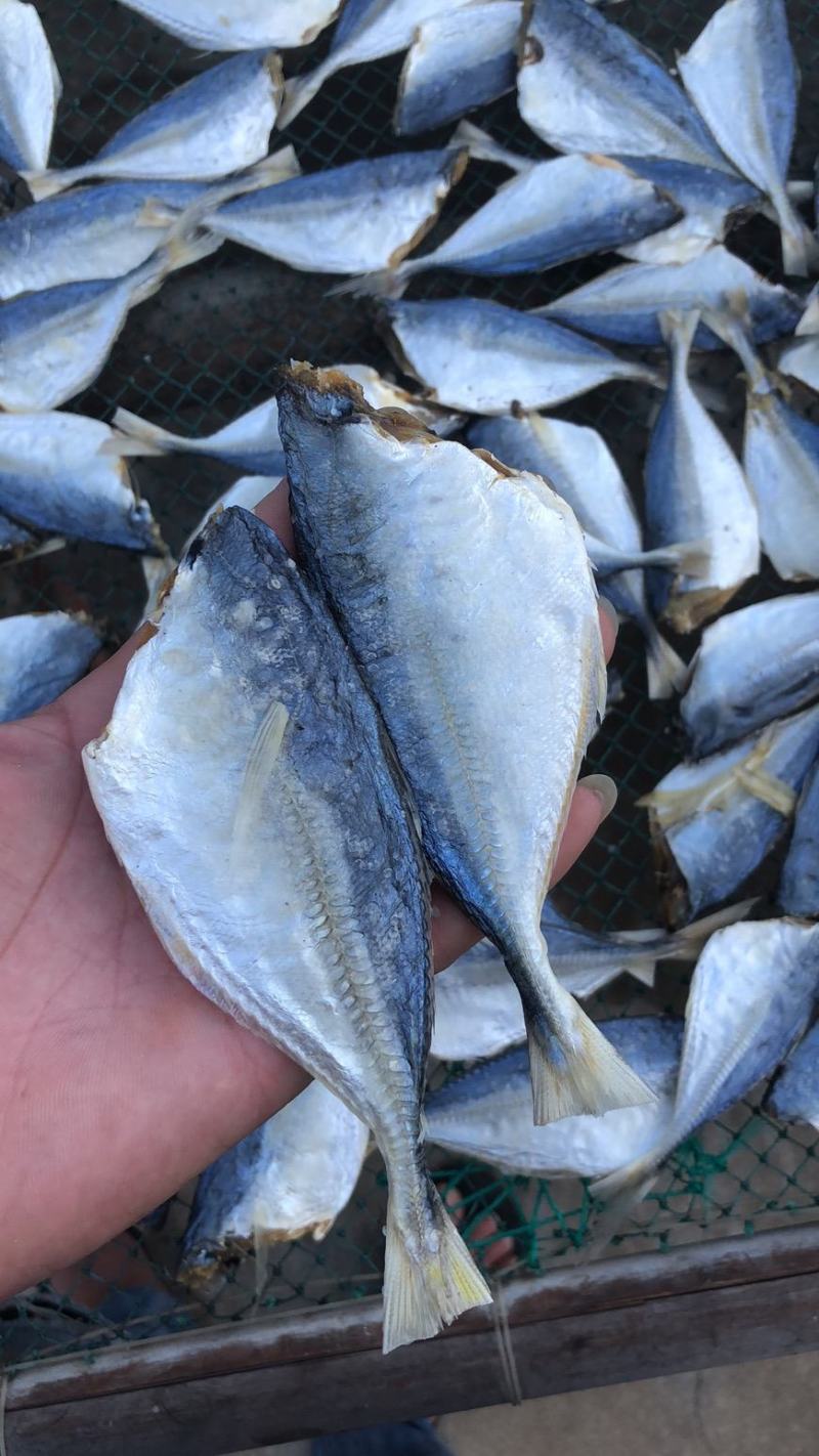 【热卖】黄尾鱼干咸鱼干水产干货小鱼干