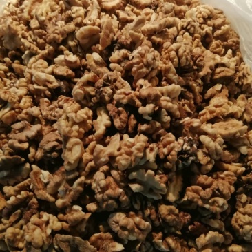 核桃仁。奶油熟的。新加工的。量大的者