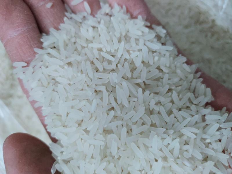 香丝米桂林市米厂厂家直销，野香丝百香，香味浓郁日产30吨
