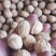 古树核桃泡皮核桃皮薄皮白仁饱满量大代办一件代发
