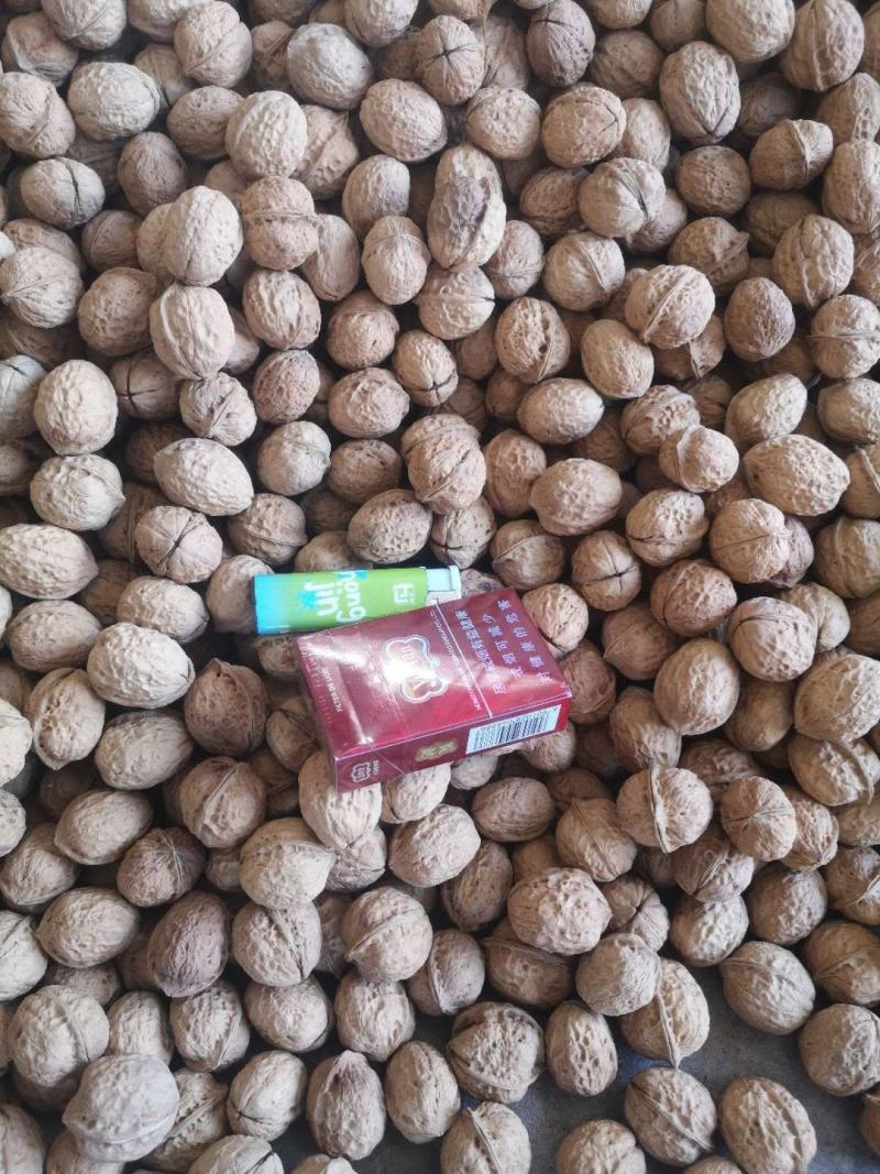 古树核桃泡皮核桃皮薄皮白仁饱满量大代办一件代发