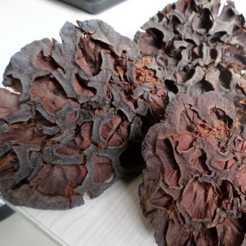 莲房莲蓬壳可打粉批发零售中药材品质保证