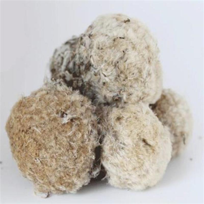 雪莲花藏雪莲批发零售中药材品质保证