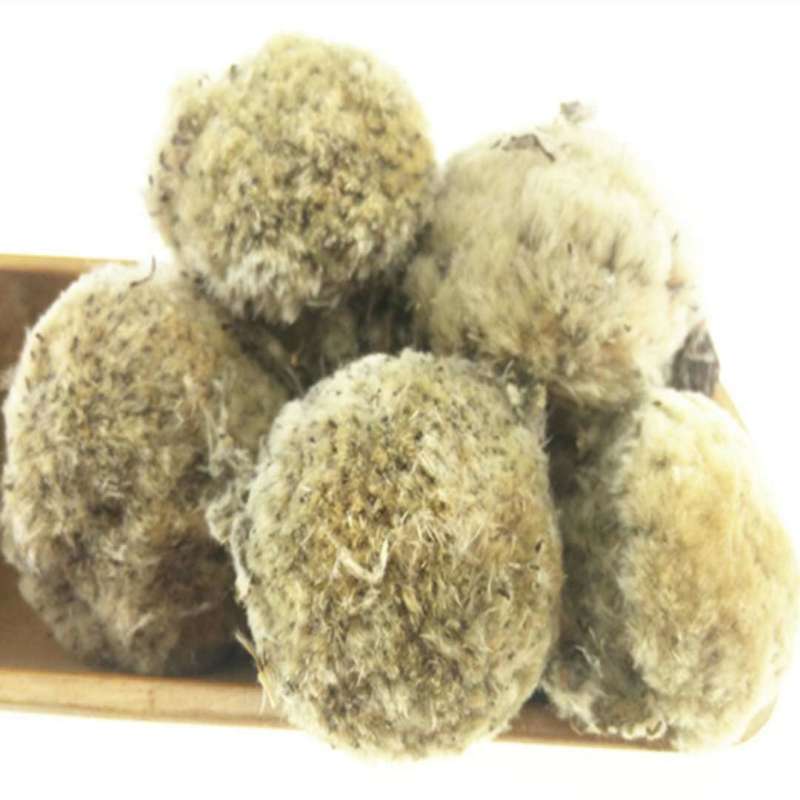 雪莲花藏雪莲批发零售中药材品质保证