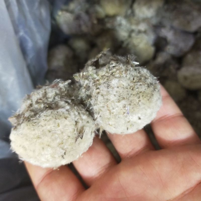 雪莲花藏雪莲批发零售中药材品质保证