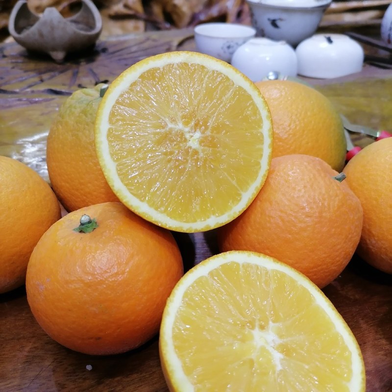 自家果园无公害管理的脐橙