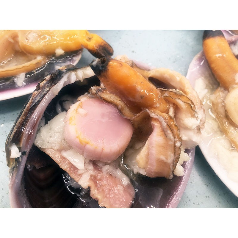 新鲜天鹅蛋鲜活海捕大蛤蜊天鹅蛋肉紫石房蛤海鲜水产贝类