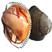 海鲜贝类鲜活赤贝新鲜大赤贝活蛤蜊毛蛤血蛤生吃刺身海鲜
