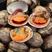 海鲜贝类鲜活赤贝新鲜大赤贝活蛤蜊毛蛤血蛤生吃刺身海鲜