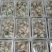 生蚝肉鲜活现剥新鲜即食生蚝肉去壳牡蛎肉冷冻青岛红岛海蛎子