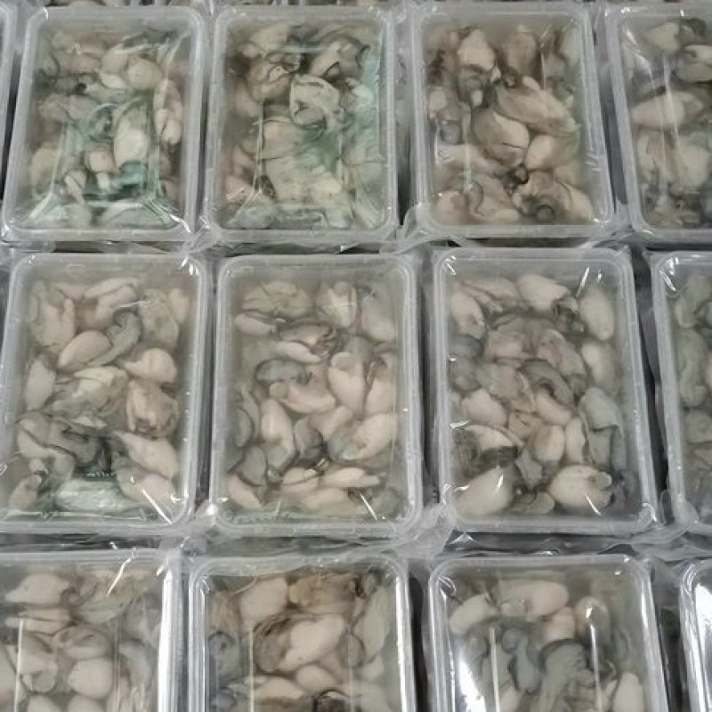 生蚝肉鲜活现剥新鲜即食生蚝肉去壳牡蛎肉冷冻青岛红岛海蛎子