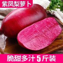 紫萝卜俗称水果中的人参甘甜可口3-9斤一件代发