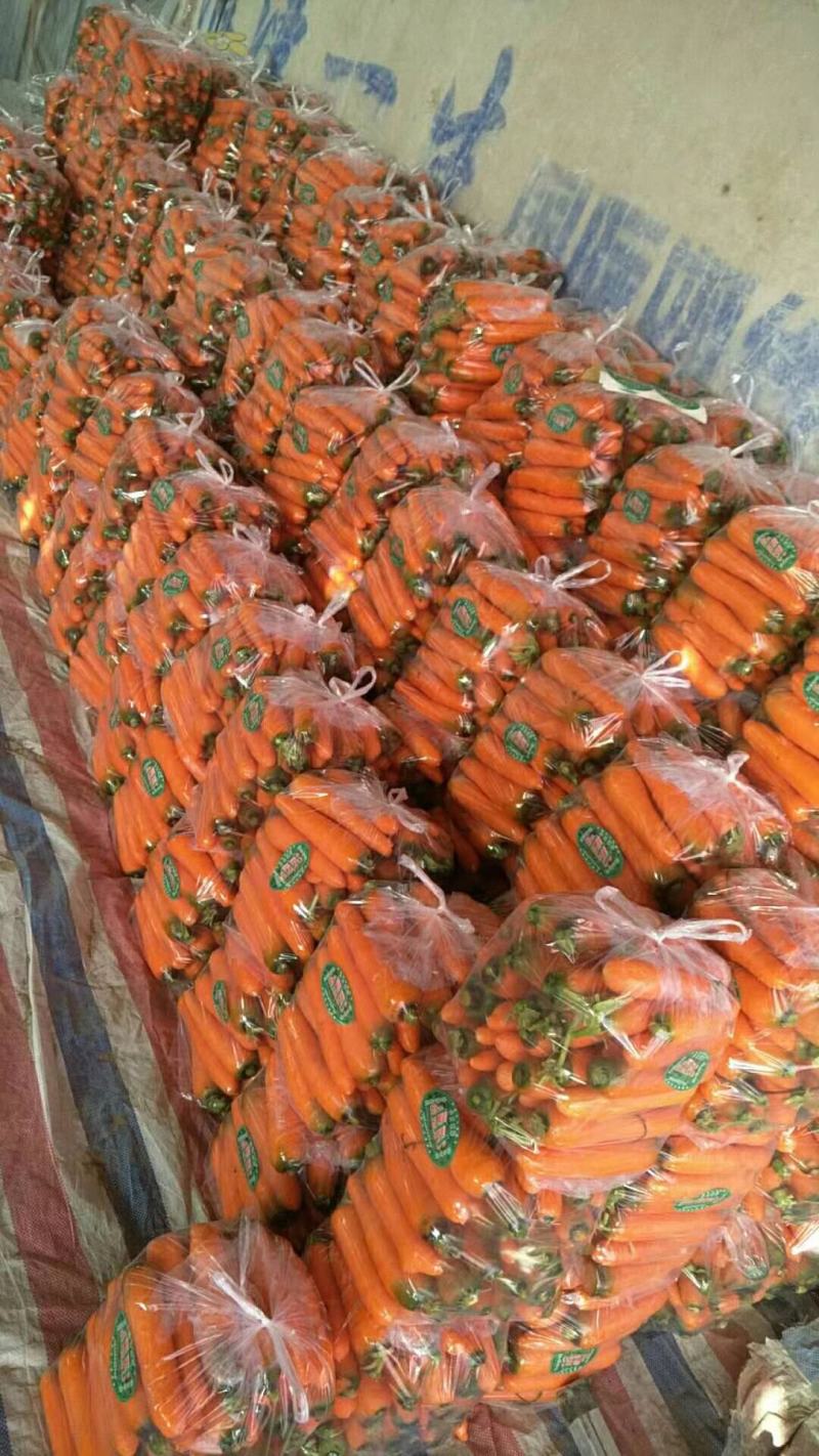 大量供应胡萝卜，水洗胡萝卜，走市厂，品质好，三两到七两中条