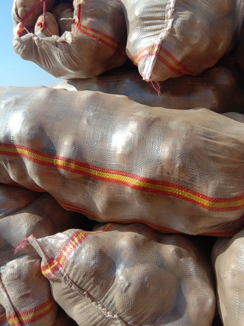 土豆品种齐全，价格合理，需要的联系