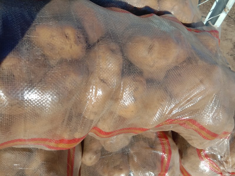 土豆品种齐全，价格合理，需要的联系