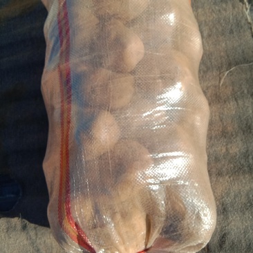 土豆品种齐全，价格合理，需要的联系