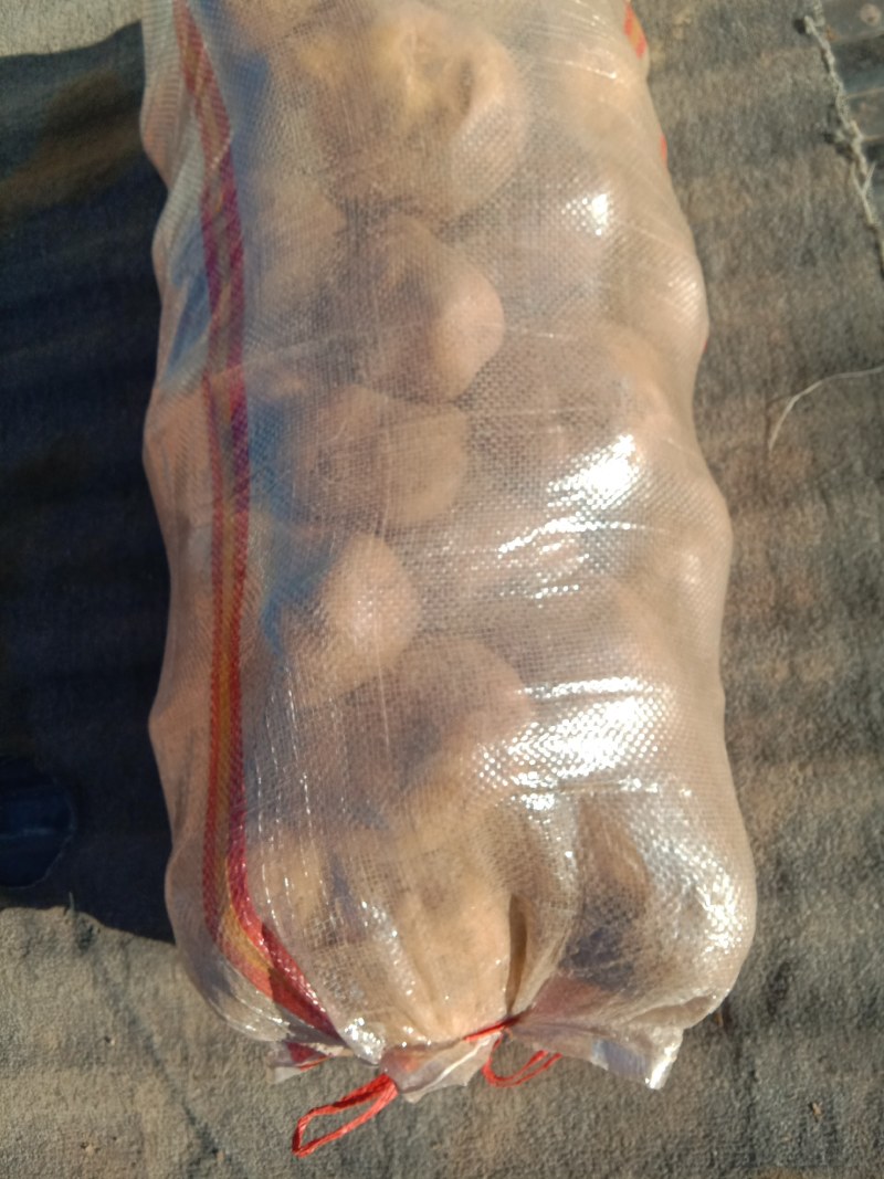 土豆品种齐全，价格合理，需要的联系