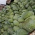 大量出手洋白菜，扁包菜学校公司大量用菜
