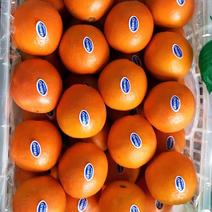 甜橙产地直供，一手货源，自产自销，果园直发。按需收货。