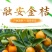 广西融安滑皮脆皮金桔上市了诚招代理支持一件代