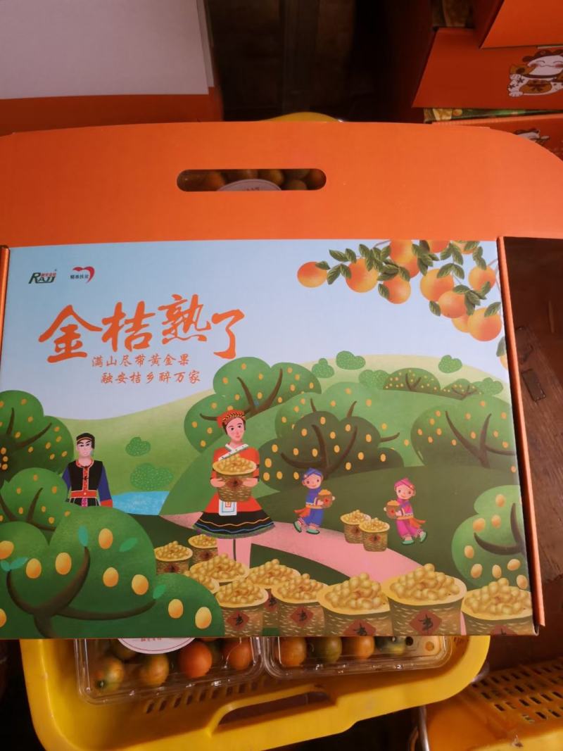 广西融安滑皮脆皮金桔自家果园可代理支持一件代