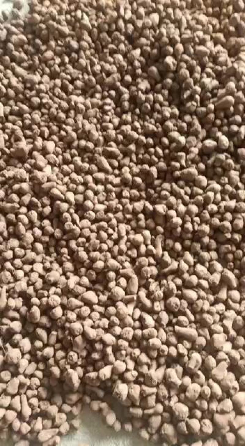 毕节七星关区花魔芋发芽力可以达到98%