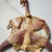 腊鸡风干鸡市场年货热卖产品