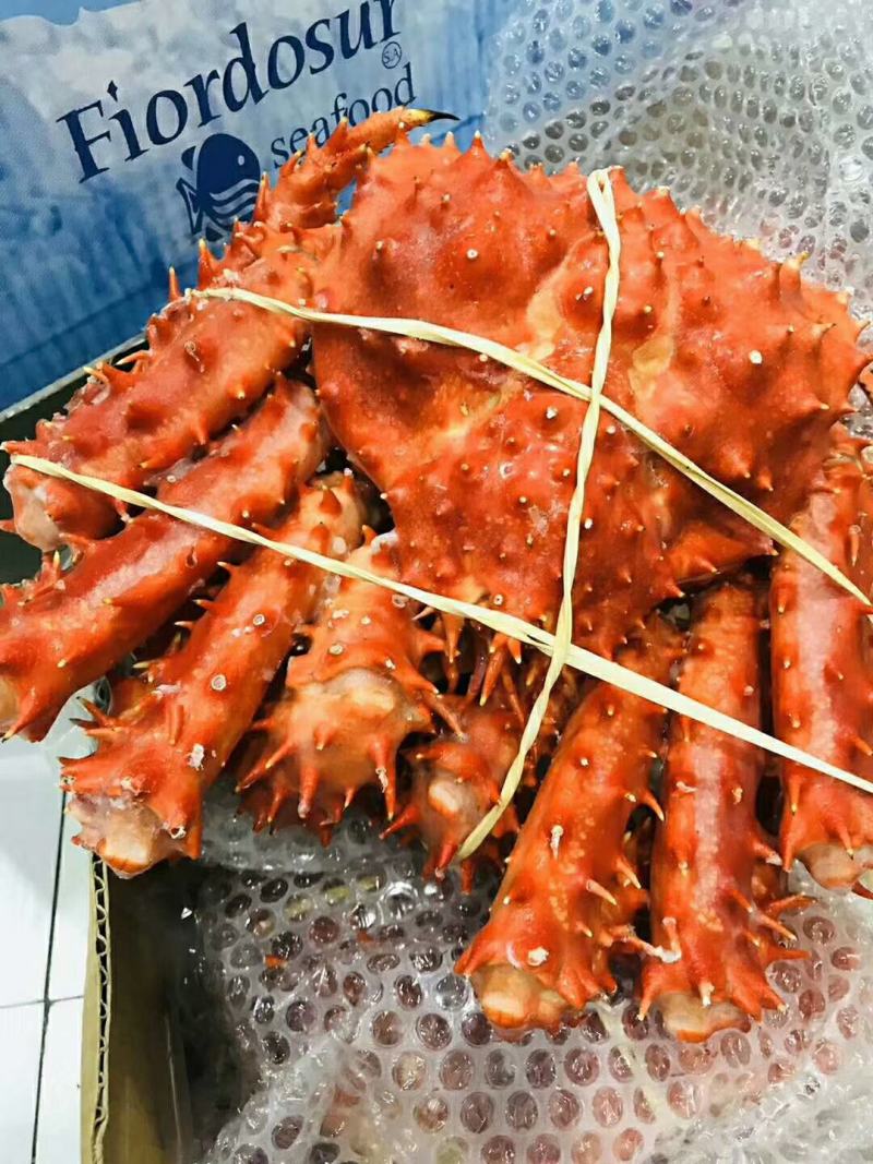 进口帝王蟹大量到货，现在订购中