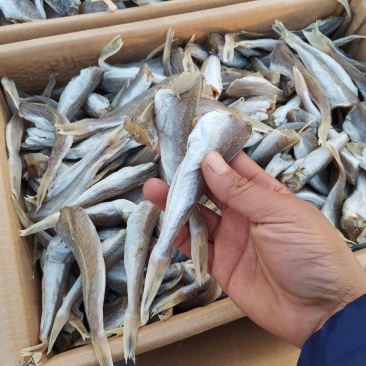 红头鱼（去头咸鱼），可蒸炸煎，味美有劲道，晾晒而成的鱼