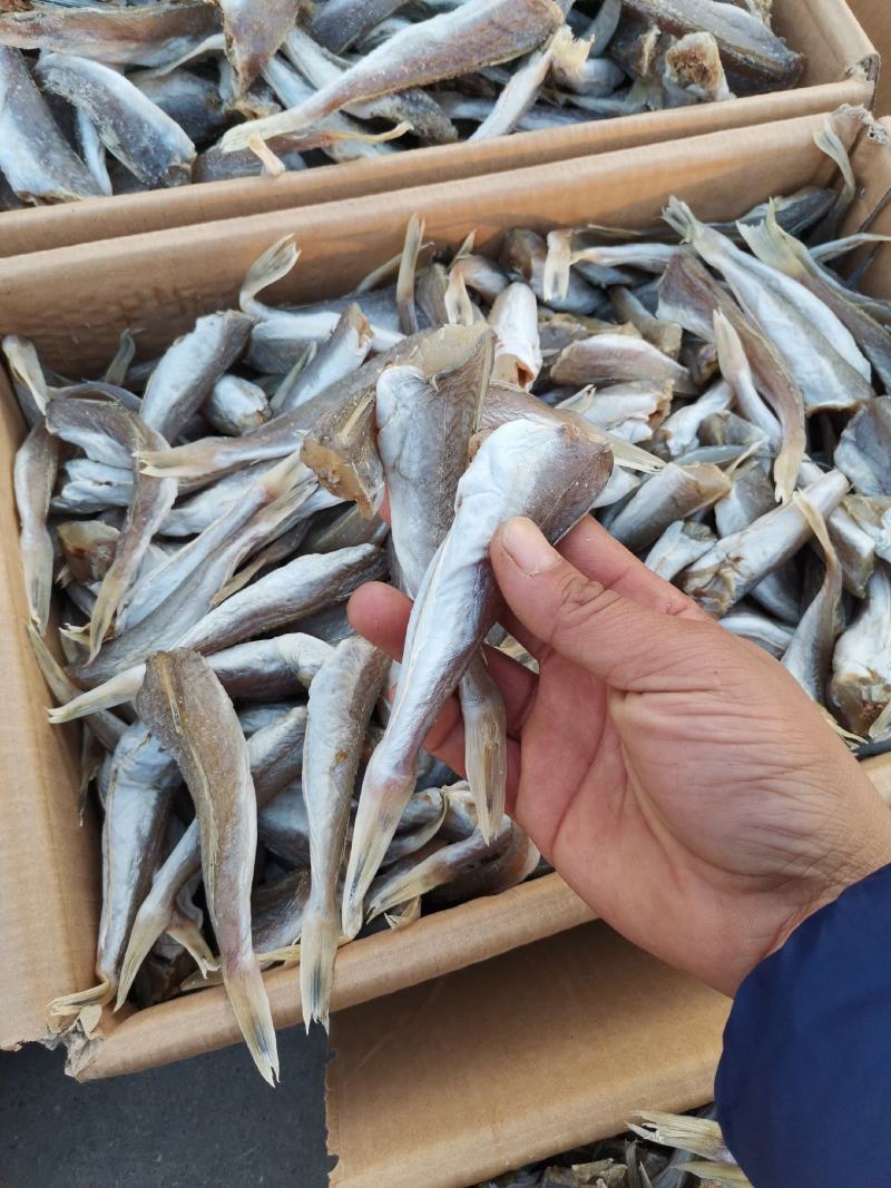 红头鱼（去头咸鱼），可蒸炸煎，味美有劲道，晾晒而成的鱼