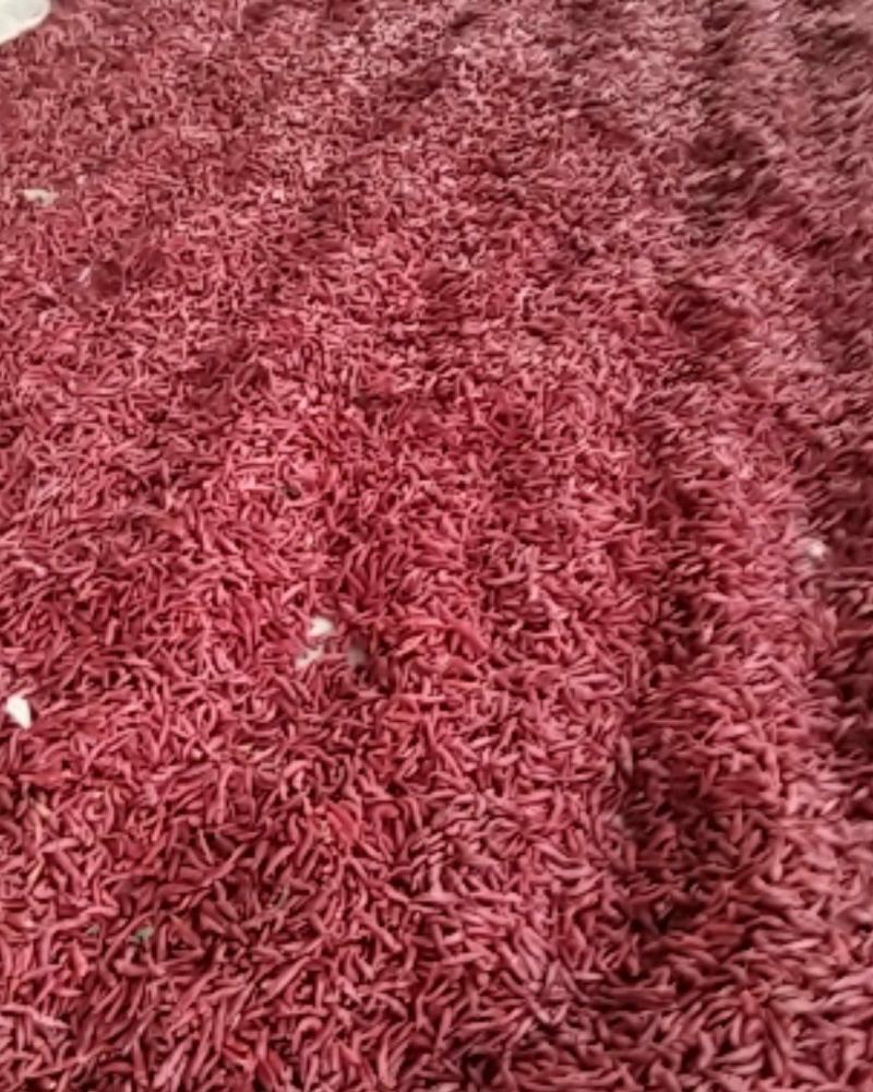 天宇，三英干辣椒精品通货